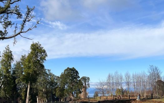 Espectacular Parcela En Frutillar Bajo